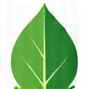 Feuille verte pour 100% Écologique
